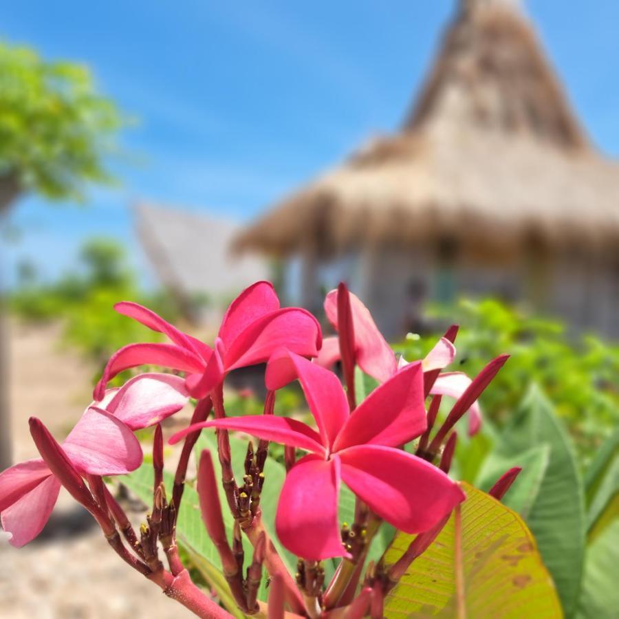 Hars Garden Sumba Hotel Waingapu Bagian luar foto