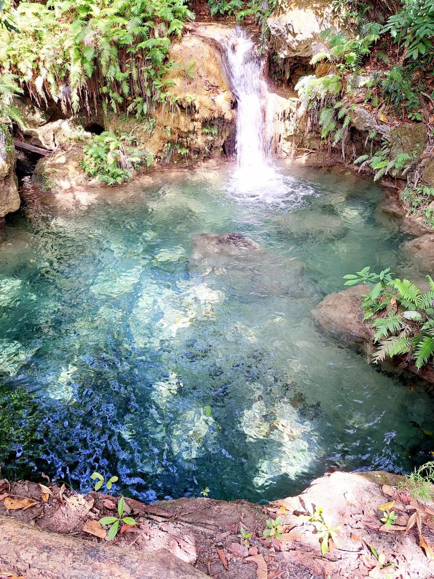Hars Garden Sumba Hotel Waingapu Bagian luar foto